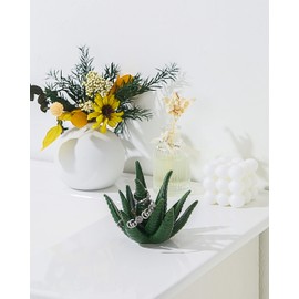 Titanape Cactus Ring Holder, Gifts for Women Birthday, Unique Jewellery Holder Gift for Mum, Friend, Girls, Her, Novelty Wedding Bridesmaid Christmas