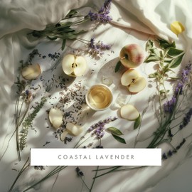ScentAir Monthly Fragrance Cartridge for Whisper Home - Coastal Lavender Pet Calming