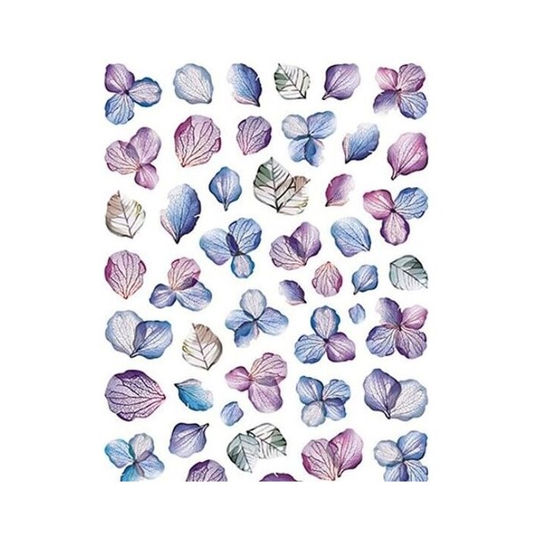 Generic Green Four Leaf Clover Lucky Day Anemone Abstract Flower