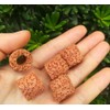 20 Pcs Aquatic Water Plant Fixed Rings, Aquarium Anchors Fish