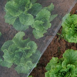 Garden Netting Pest Barrier, 4x10Ft Fine Bug Netting for Vegetable Plants Fruits Flowers Crops Greenhouse Row Cover Raised Bed Barrier Screen Protection Net Cover