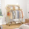 Laiensia Double Rods Garment Rack with Wheels, Clothing Rack for