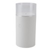 Essential Oil Diffuser 60ml USB Fine Mist 3D Flame Candle