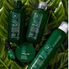 Paul Mitchell Tea Tree Special Conditioner 300ml