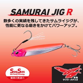 Daiwa Samurai Jig R Lure, 1.1 oz (30 g) PH Silver