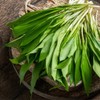 Organic wild garlic (125g, 4.4oz), organic wild garlic leaves, wild