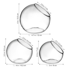 Plant Holder 3pcs Plant Terrarium Display Slant Cut Bubble Bowl Glass Tabletop Succulent Air Plant Planter Globe 8cm 10cm 12cm Glass Terrarium