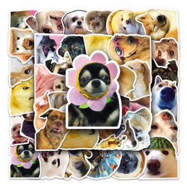 Bric Dodo Pack of 50 Meme Dog Stickers Car Laptop Phone Guitar Skateboard Motorcycle Bicycle Meme Dog Stickers Set Vinyl Waterproof Aesthetic Stickers for Teenagers Children Adults