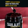 Amoseeds Shilajit aus dem Himalaya 100g + L?ffel inklusive |