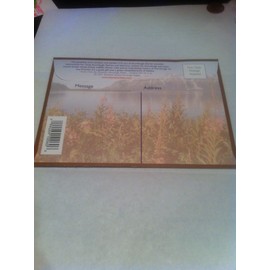 Alaska Goldrush SOURDOUGH STARTER Greeting Card