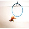 ChasCoCo Fish Net Fishing Net Aquarium Fish Net Fine Net