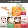 Dapoprren Natural Loofah Soap Bar 4PCS,Exfoliating Natural Soap with Loofah