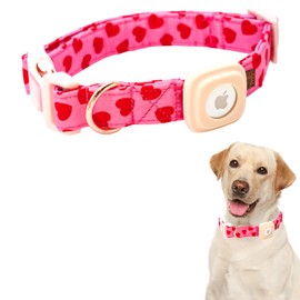 Lionheart glory Airtag Dog Collar Valentine Collar for Small Dogs, Red Hearts Dog Collars with Airtag Hloder Spring Dog Collar Heavy-Duty Pet Collar Adjustable