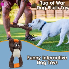 Tug of War Dog Toys, Puppy Toys, Squeaky Dog Toy, Puppy Teething Chew Toys, Plush Indestructible Durable Tough Dog Toys for Small Dogs, Interactive Dog Toys for Small Medium Large Dog Breeds (Raccoon)