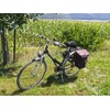 Harrys-Collection Merino Lambskin Bicycle Saddle Cover, darkgray