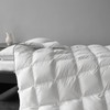 MAXICOZY Luxury Goose Feather Down Comforter Twin Size, All Seasons