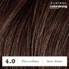 Clairol ColorStrong Permanent Zero Ammonia Hair Dye, 4.0 Dark Brown