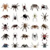 Unbranded 10 Random Spider Stickers