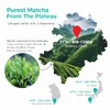 Emerail Organic Matcha Powder - Premium Culinary Grade Green Tea