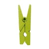 Pegs Pack of 12 Approx. 3.5 cm Wood Apple Green
