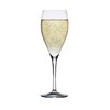 Le Cordon Bleu Paris, set di 4 flute per champagne,
