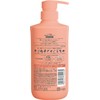 Ichikami Dense W Moisturising Care Hair Shampoo Pump - 480
