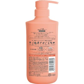 Ichikami Dense W Moisturising Care Hair Shampoo Pump - 480 ml