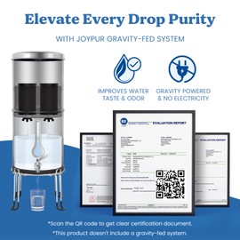 JOYPUR PF-1 Black Thickened Purification Elements, Replacement Filters for ProOne® and Berkey® Filters, ProOne® Big+ or Berkey® Big Countertop Gravity Water Filter System and Purewell System (2 Pack)