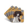 Springer Spaniel - Set of 4 Coasters - Leslie Gerry
