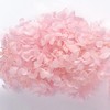 Daichi Farm DO001510-101 Preserved Flowers, Soft Pyramid Hydrangea Head, Baby