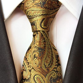 BUZZxSELECTION NT009 Men's Necktie, Paisley Pattern, Casual, Stylish, Suit, Business