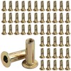 AOKLIT 50 Pcs Multi Grip Rivet Nut Kit, m6 Rivet