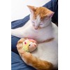 Hartz Just For Cats Running Rodent Vibrating Plush Mouse Cat