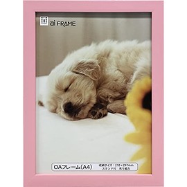 Iwata Picture Frame, OA Frame, Resin, Pink, A4, JOA-A4-P