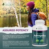 Astragalus Capsules 5,000 mg - 250 Capsules, 8+ Month Supply