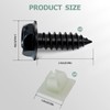 License Plate Screw Kit, Stainless License Plate Screws, Self Tapping