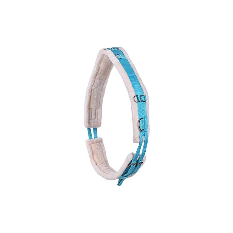 QHP Ontario Lunging Belt Adjustable on Both Sides with Multiple