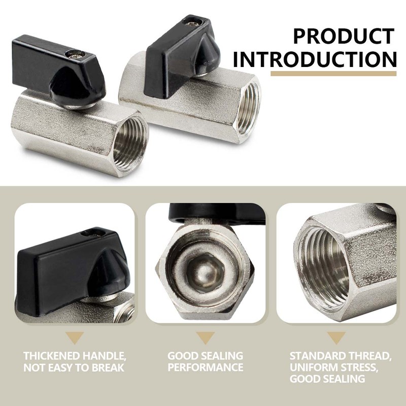Bwintech 2 Pcs 1/4" BSP Female Nickel Plated Brass Mini