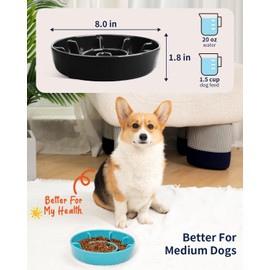 BEGUKO Ceramic Slow Feeder Dog Bowls for Small Medium Breed, 1.5 Cup Slow Feeding Dog Food Dishes, Slow Eating Bowl for Fast Eater Interactive Puppy Puzzle Bowl Anti-Gulping Non-Slip Dishwasher Safe