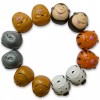 Set of 12 Animals Plastic Easter Eggs- Tiger, Zebra, Monkey