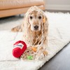 Dog Sniffing Toy Funny Interactive Puzzle Plush Noodle Shape Leaking