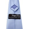 TigerTie Plain Children's Tie Pre-Tied with Elastic Band, lightblue