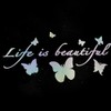 AMIORO 5 Pack Life is Beautiful Stickers Funny Car Decal