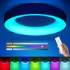Annaror RGB Led Flush Mount Ceiling Light with Remote Control,