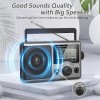 Greadio Portable Am Fm Radio With Lcd Display Long Antenna