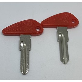 Replace Key Blanks for Indian Scout Motorcycles 2-Key Blanks SafeCo Brands (Indian Scout Red)