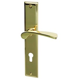 ALPERTEC Door Fittings Nelson - Polished Brass For Front Doors 32215853 PZ Door Handle Set Door Fittings Door Handle