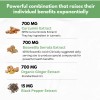 Herbal Code Labs Nutrition Boswellia Curcumin Ginger Extracts