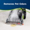BISSELL 2X Pet Stain & Odor Full Size Machine Formula,