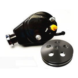 espeedpro21 SB Chevy GM Black Saginaw Power Steering Pump & Aluminum 2 Groove Keyway Pulley